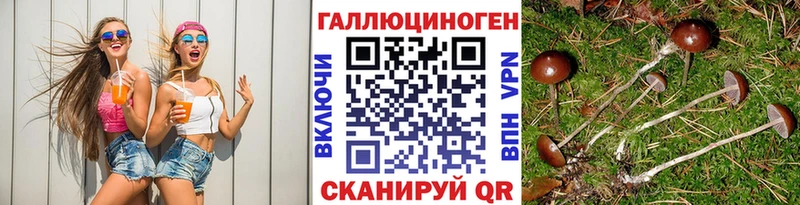 дарнет шоп Анадырь Псилоцибиновые грибы прущие грибы